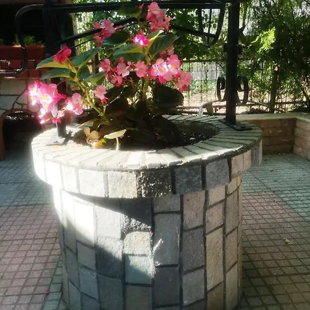 Blue Garden *
